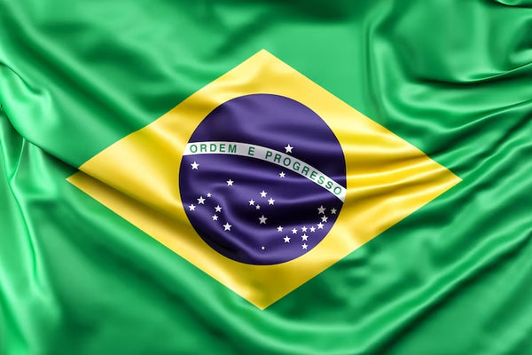 Brazil Soccer & Cultural Experience
